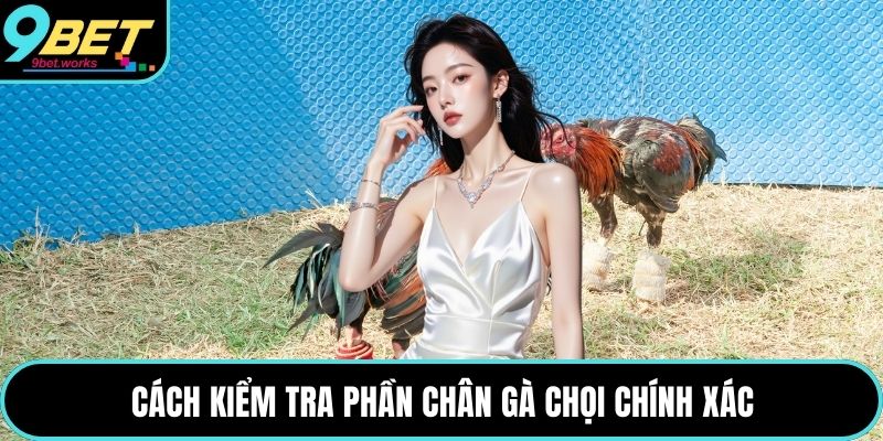 Cách kiểm tra phần chân gà chọi chính xác