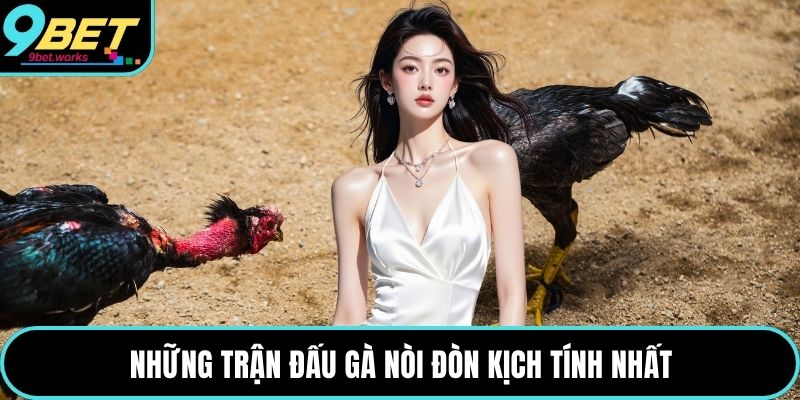 Những trận đấu gà nòi đòn kịch tính nhất
