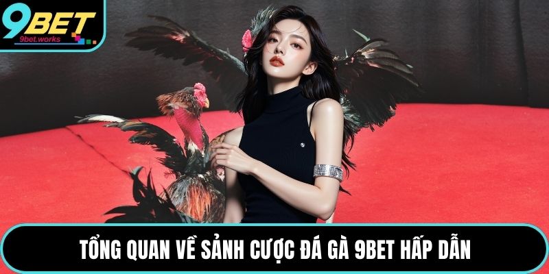 Tổng quan về sảnh cược đá gà 9bet hấp dẫn